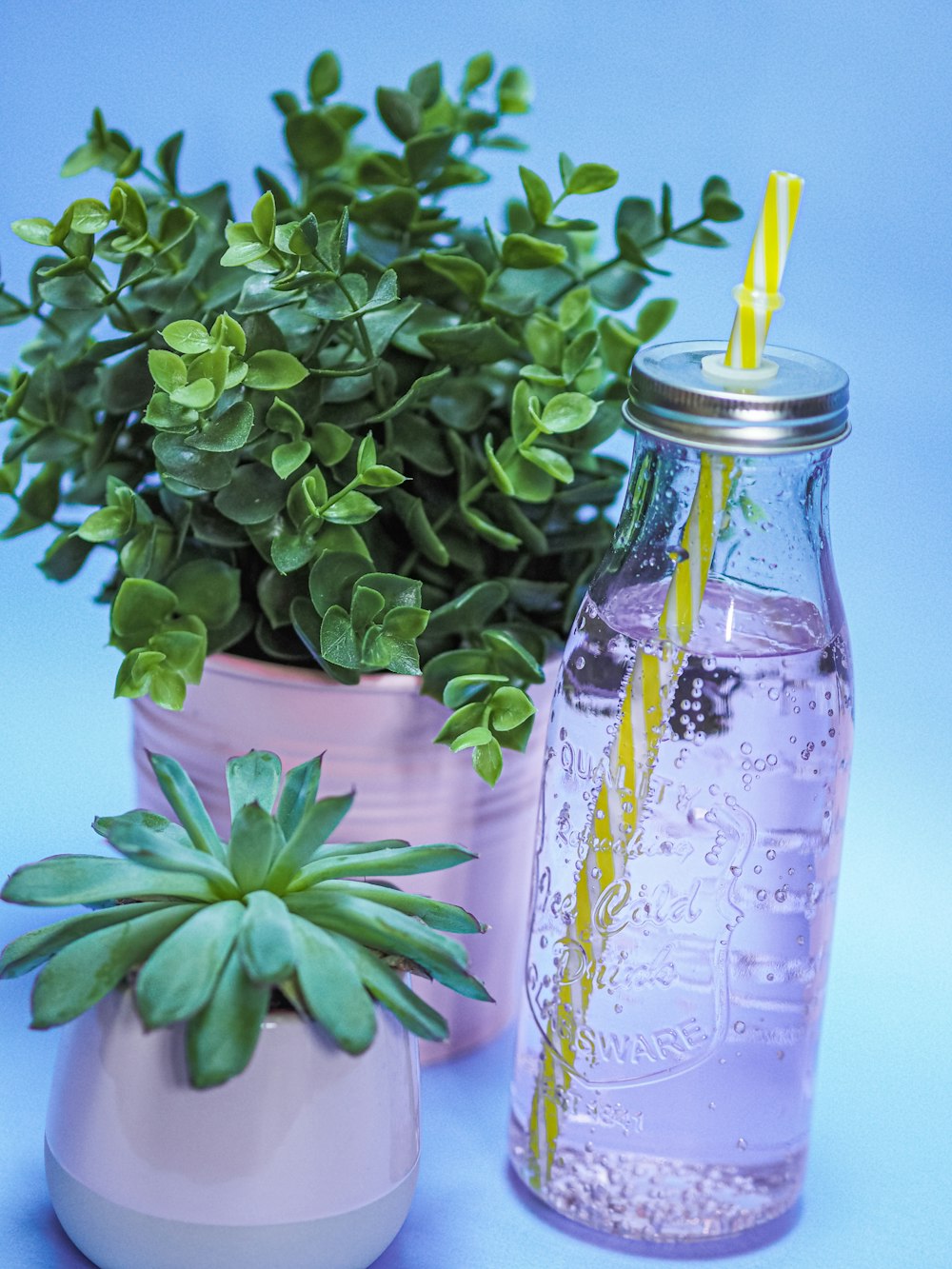 green plant on clear glass bottle