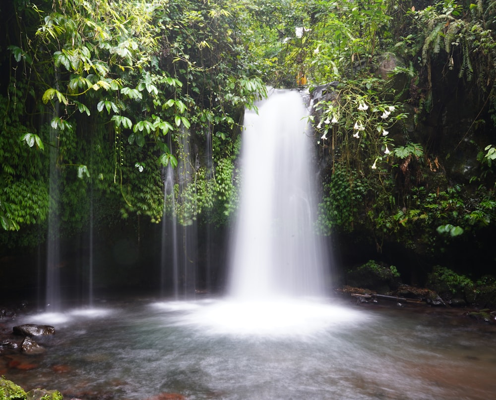 a large waterfall in the middle of a forest