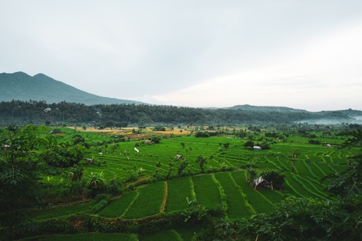 green grass field near mountain under white clouds during daytime