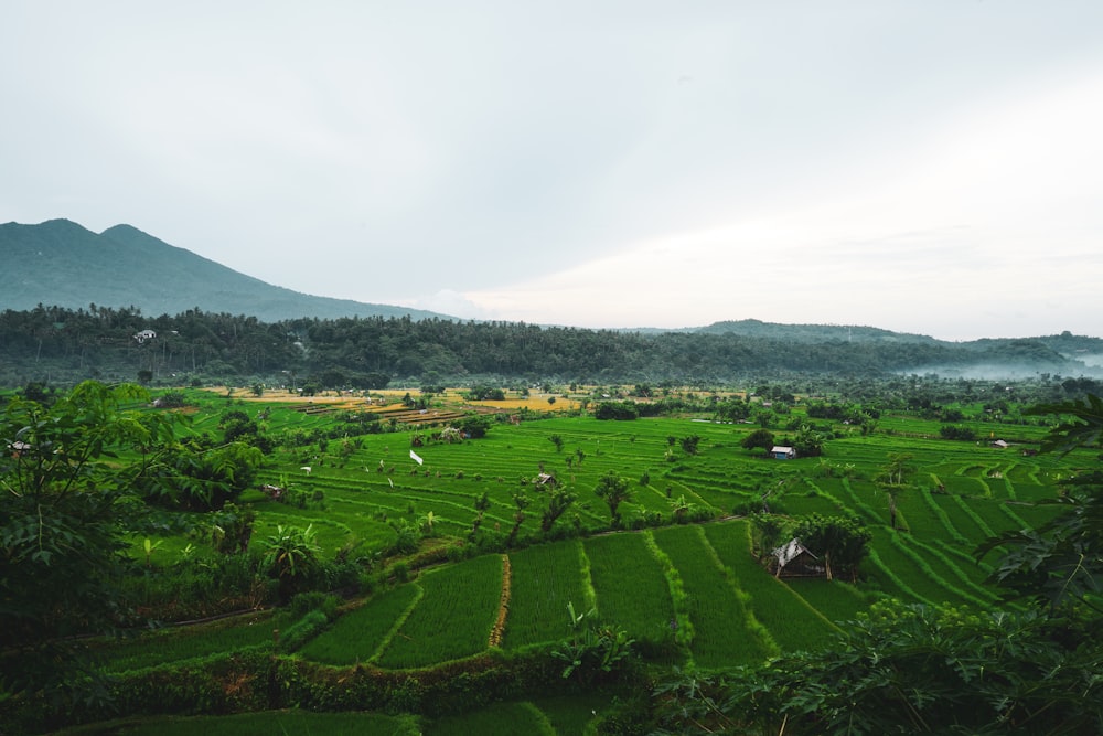 green grass field near mountain under white clouds during daytime