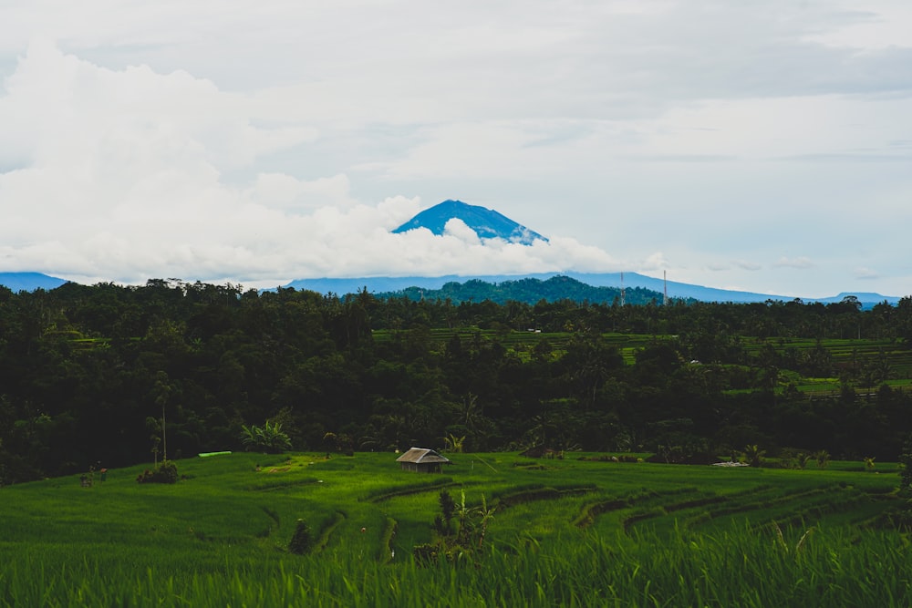 green grass field near mountain under white clouds during daytime