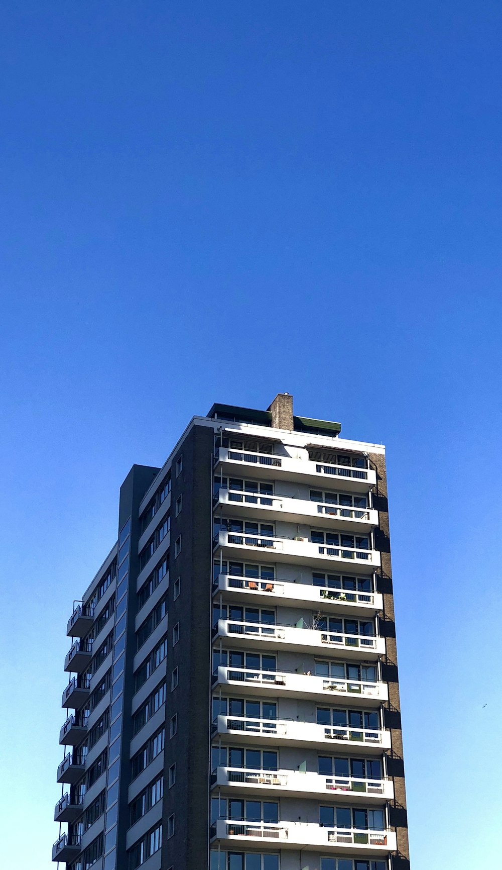 white and brown concrete building under blue sky during daytime