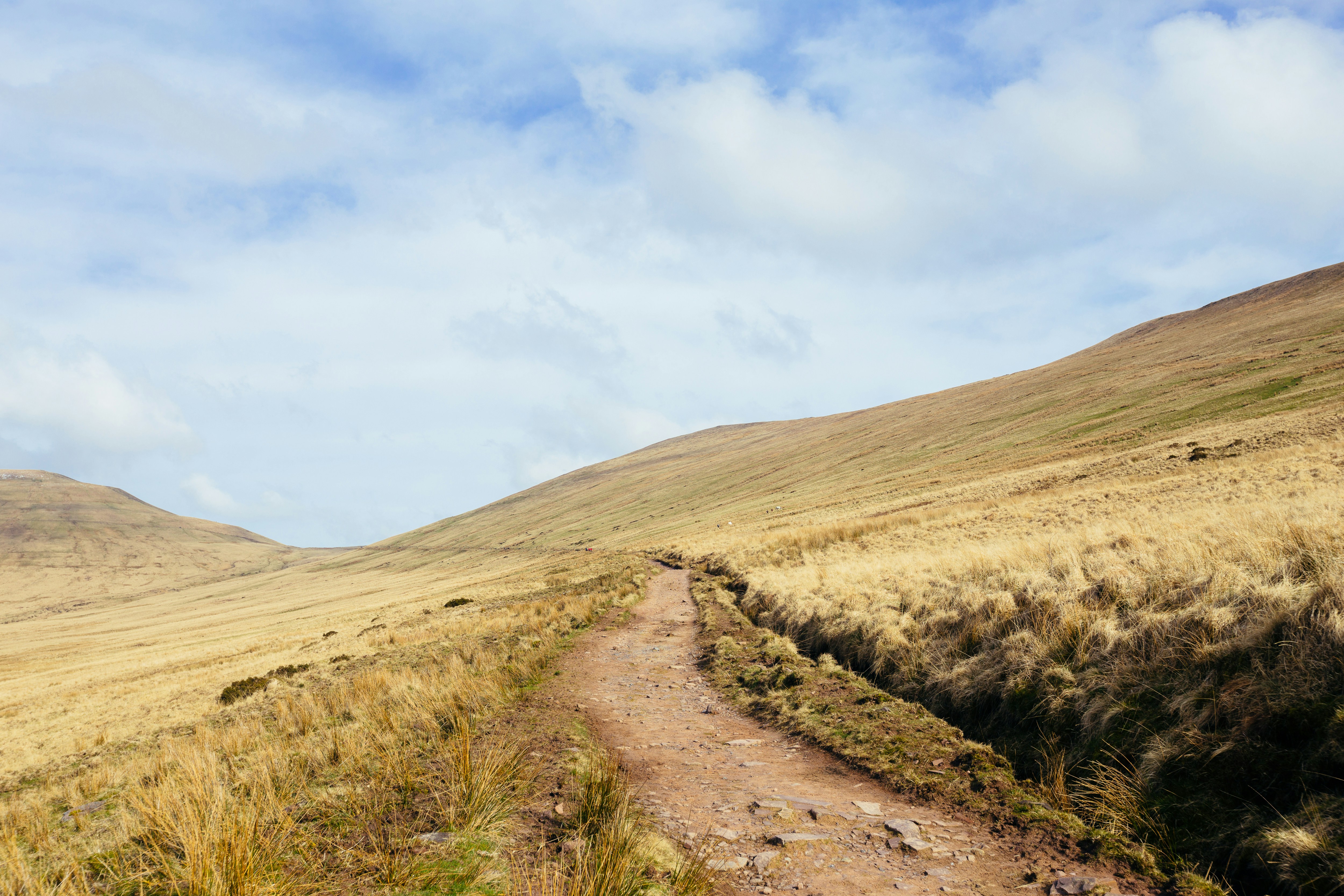 Photo by mikejerskine