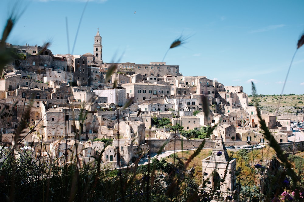 birds flying over the city during daytime