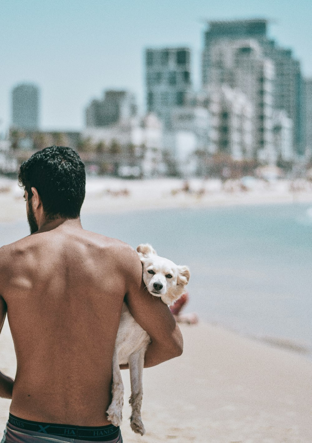 topless man carrying white puppy on beach during daytime