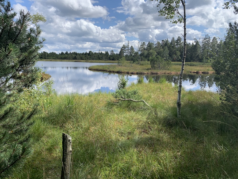 campo de grama verde perto do lago sob o céu azul durante o dia