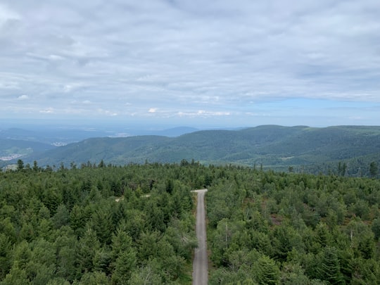 green trees on mountain under white clouds during daytime in Hohlohturm, Gernsbach Germany