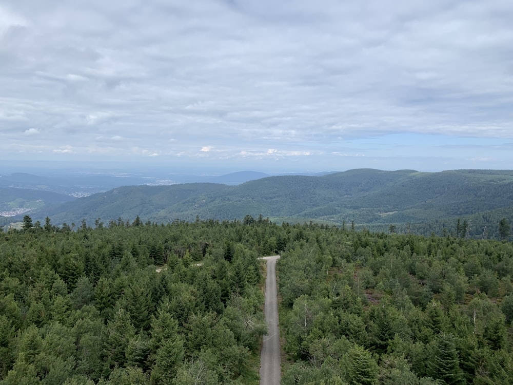 green trees on mountain under white clouds during daytime