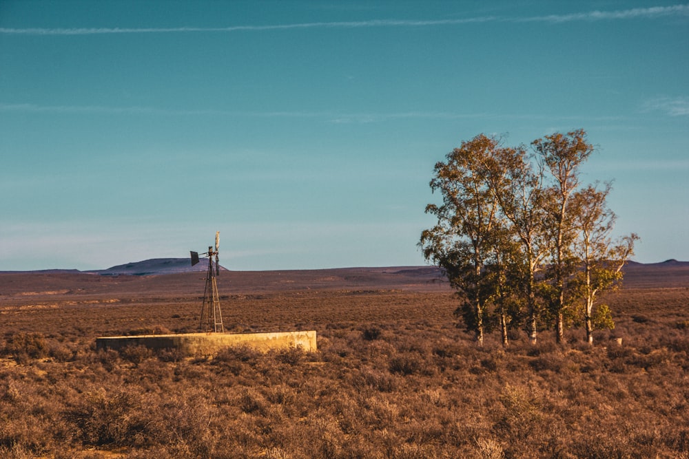 Campo de hierba marrón con poste de madera marrón bajo el cielo azul durante el día