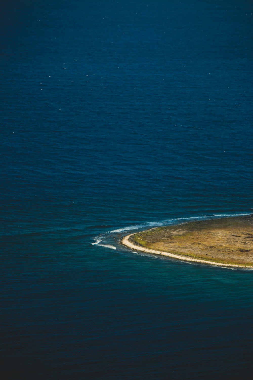 aerial view of green and brown island