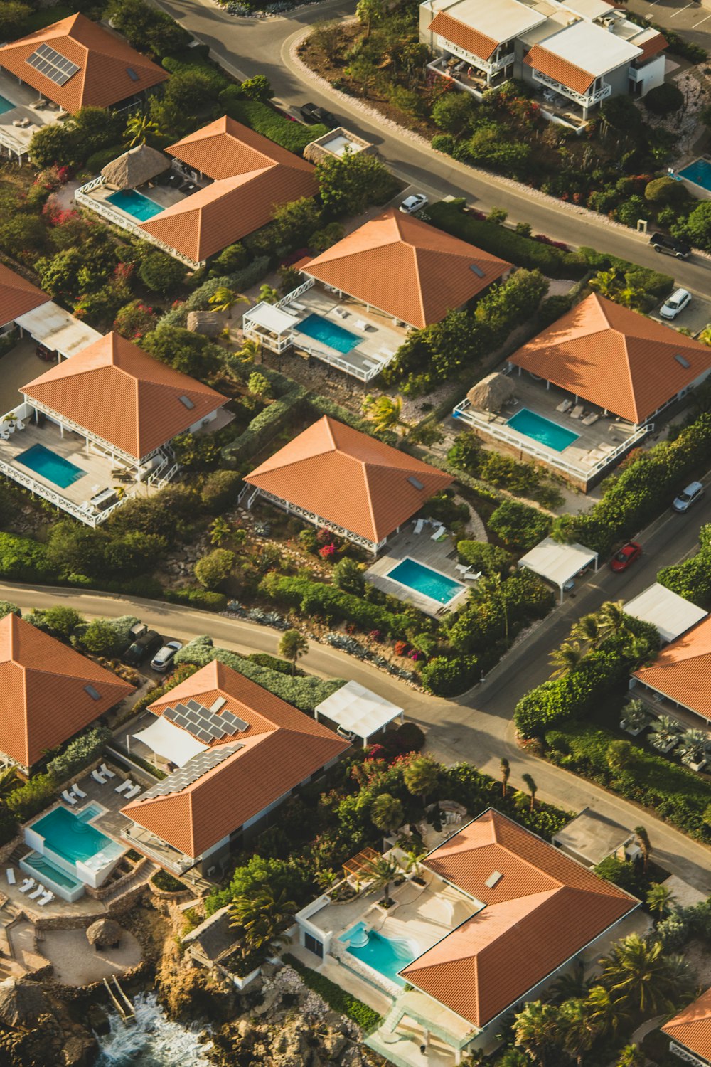 aerial view of houses and trees