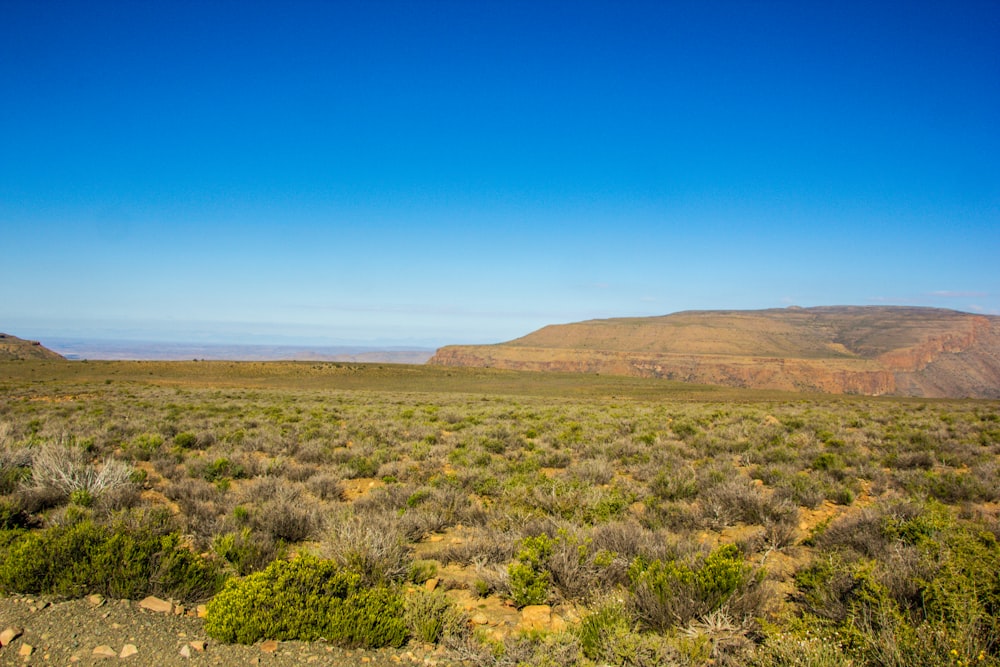 green grass field near brown mountain under blue sky during daytime