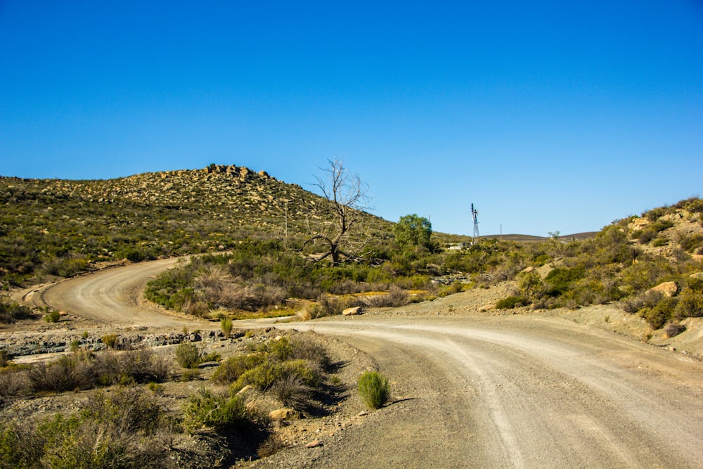 gray asphalt road between green grass field under blue sky during daytime