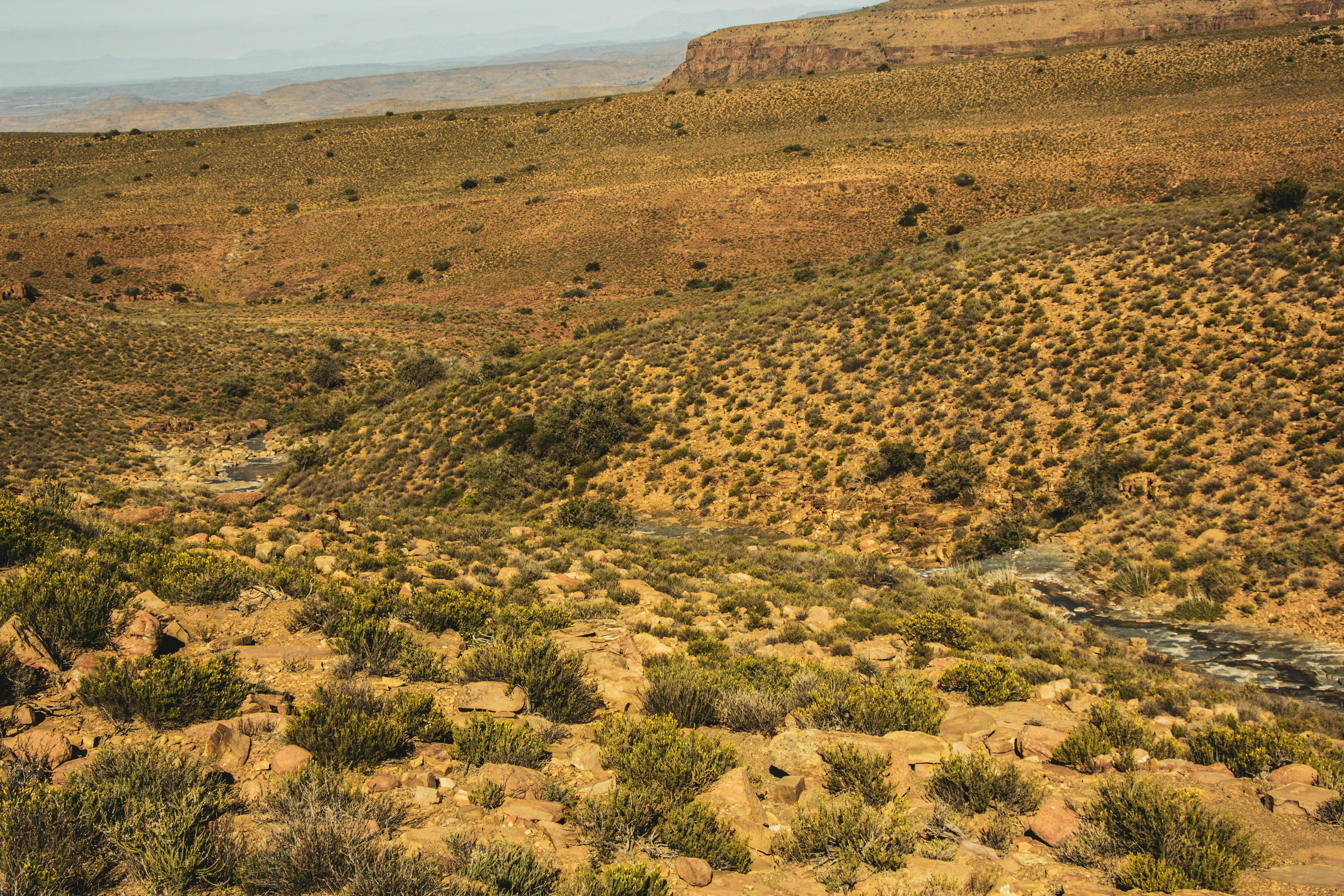 Photo by juanita770427