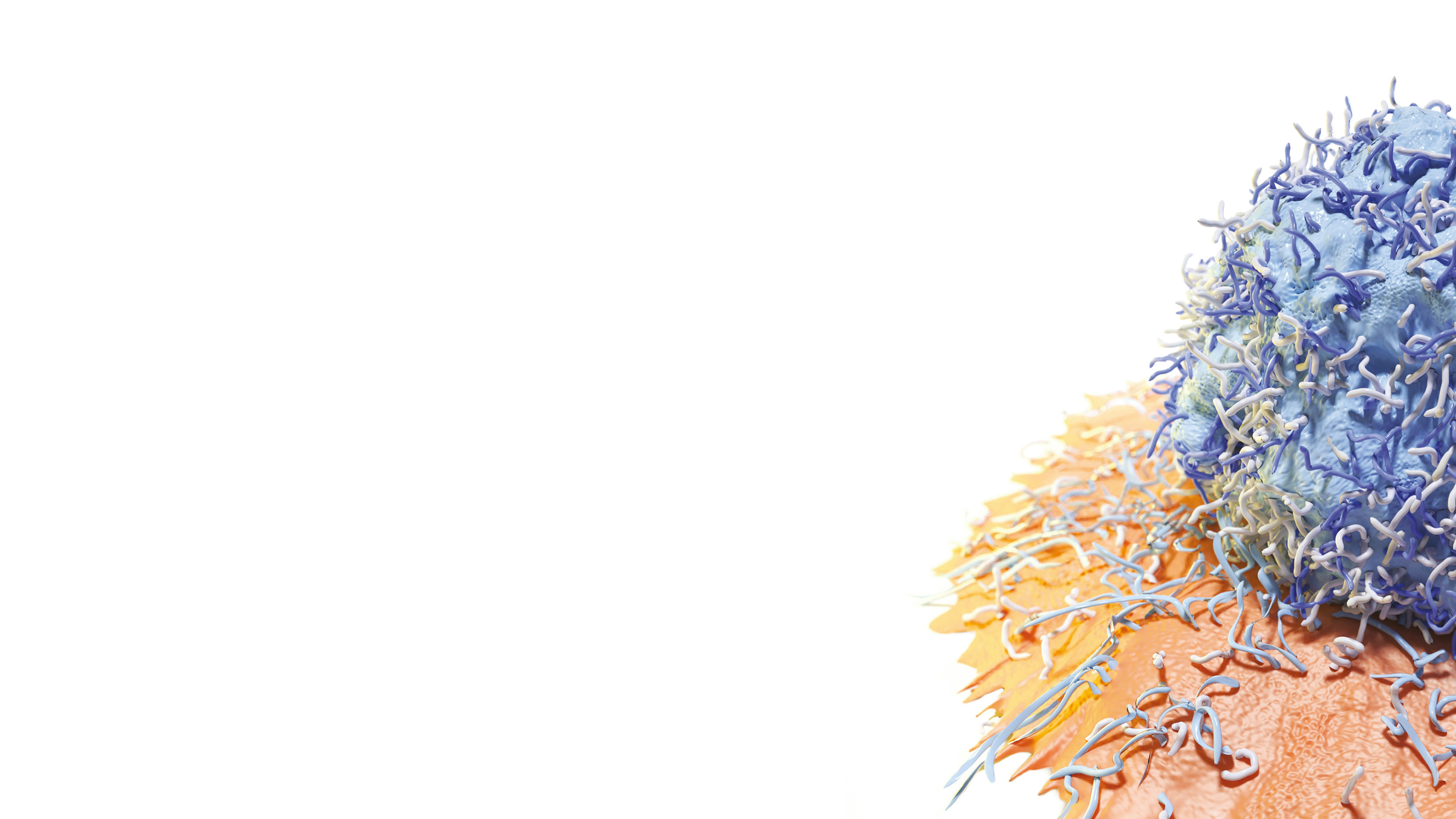 Photo by postersessiononline