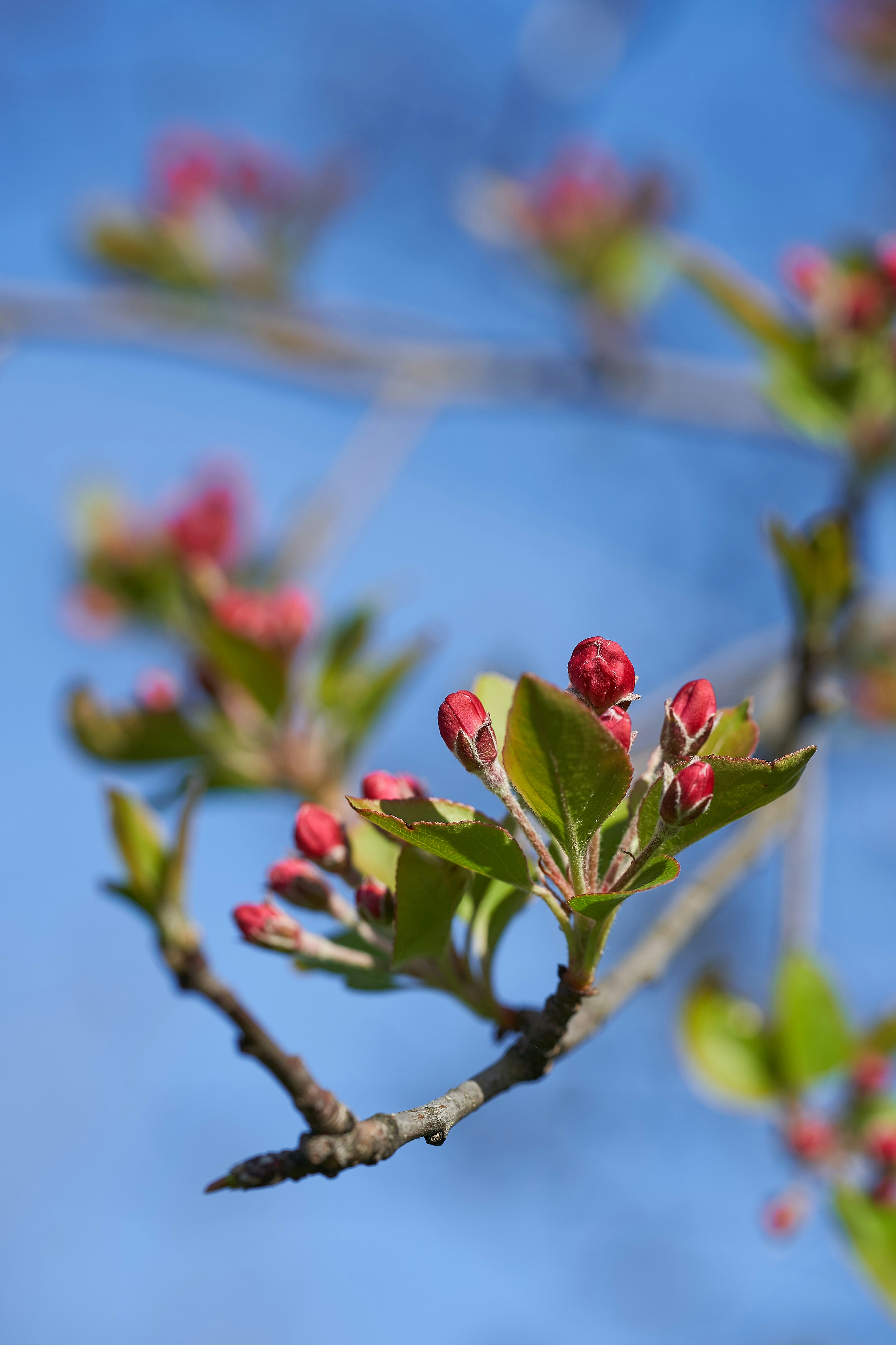 Photo by wolfgang_hasselmann