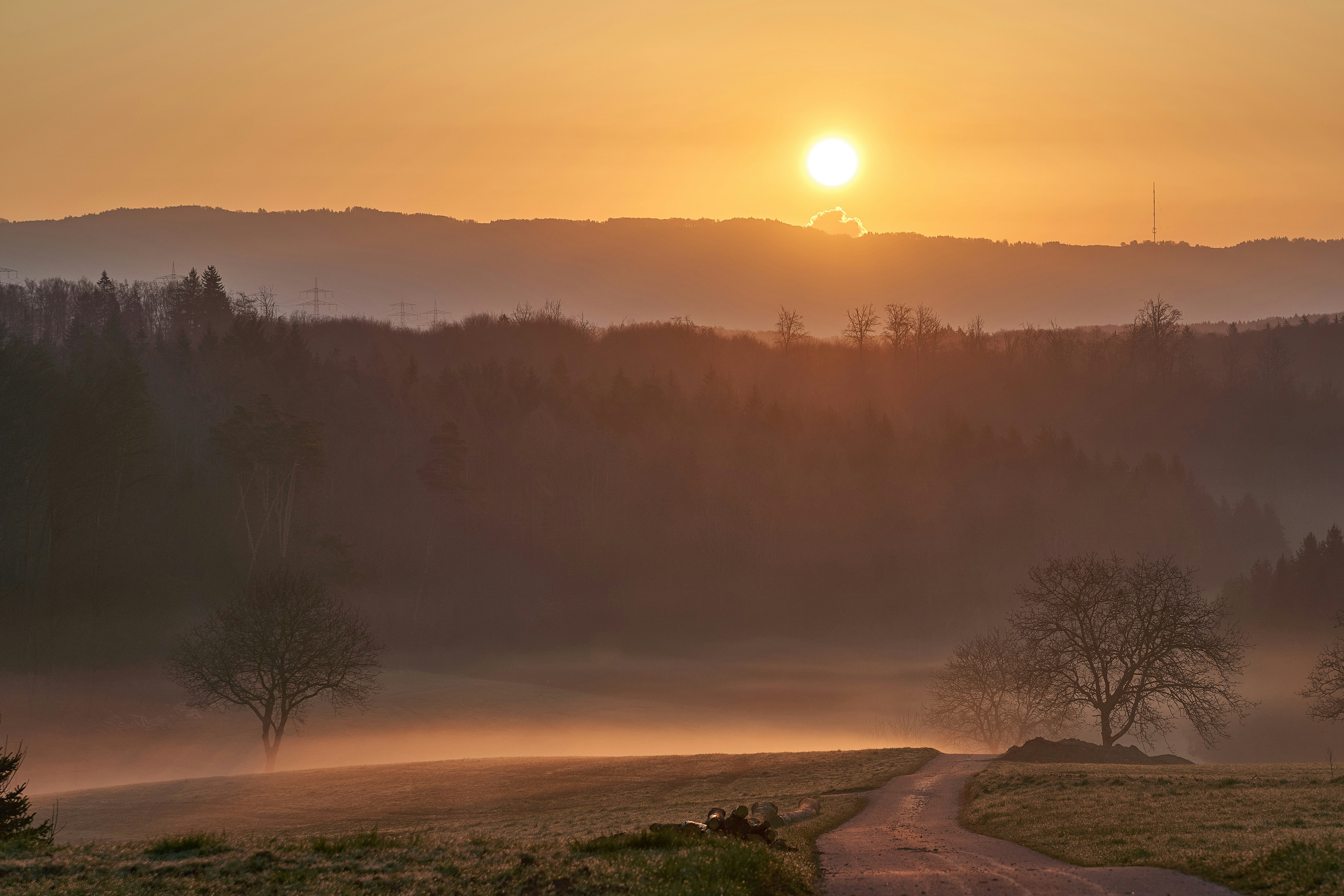 Photo by wolfgang_hasselmann