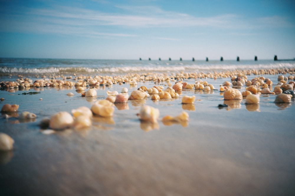rochas marrons na praia durante o dia