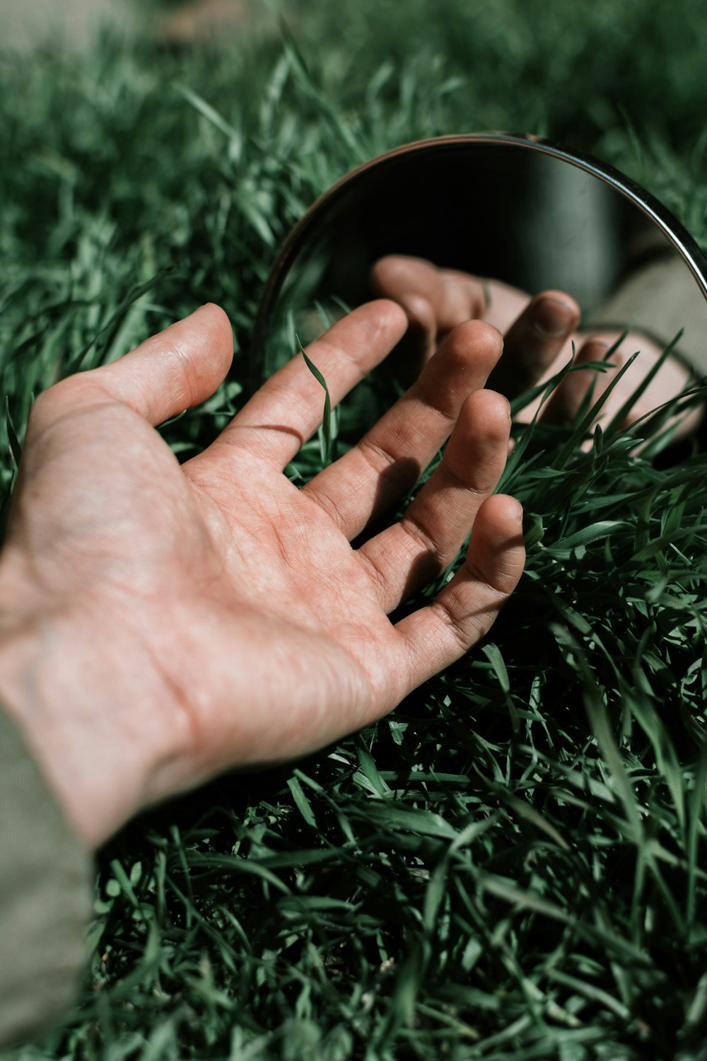 persons hand on green grass