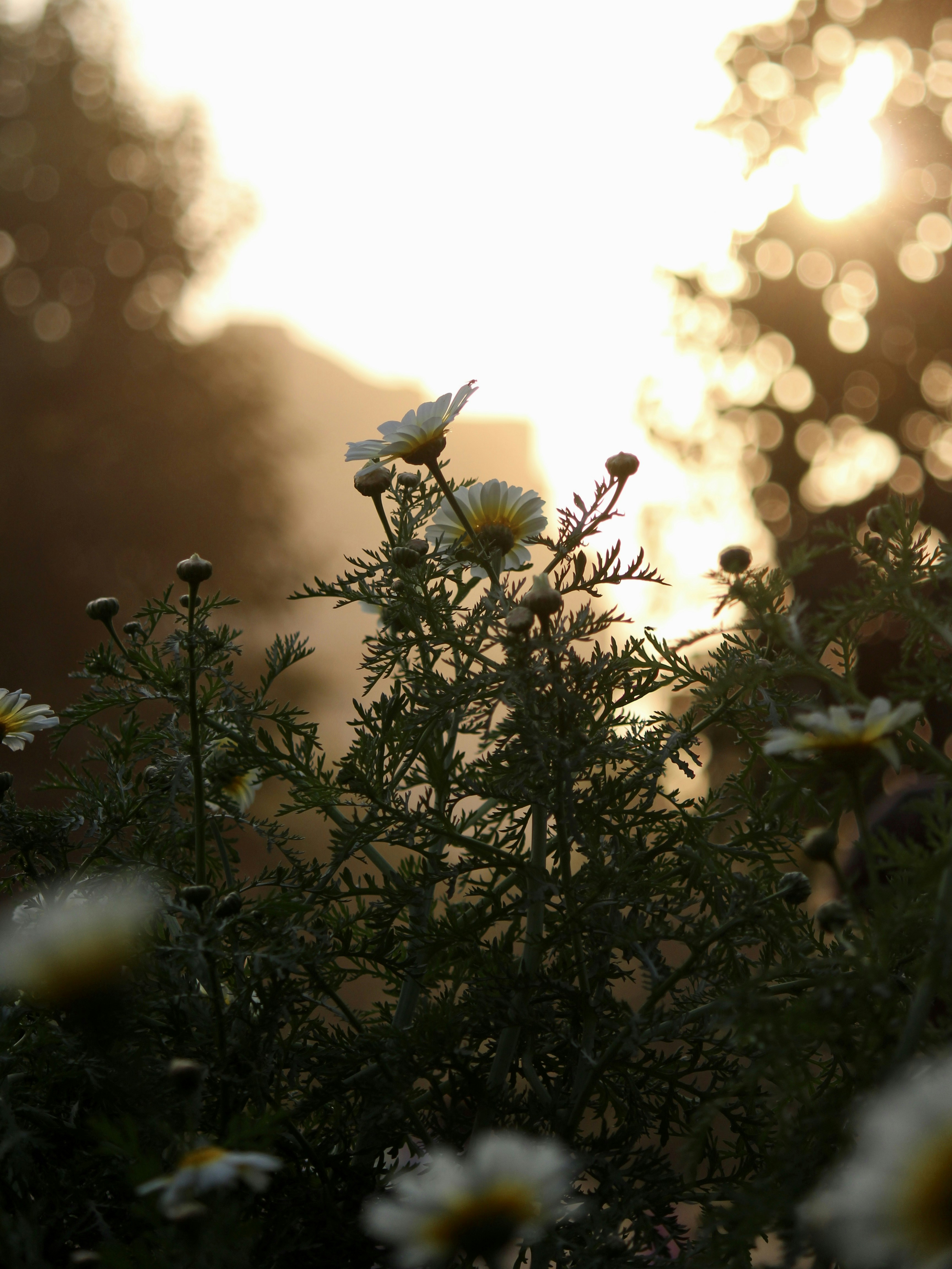 Photo by abhidevvaishnav