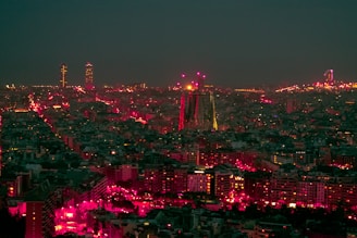 city with high rise buildings during night time