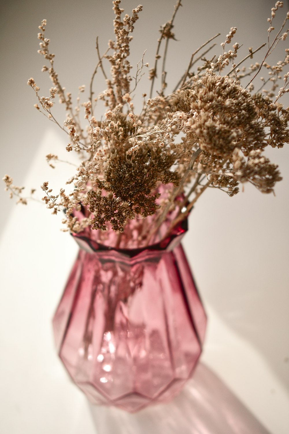 white flowers in pink glass vase