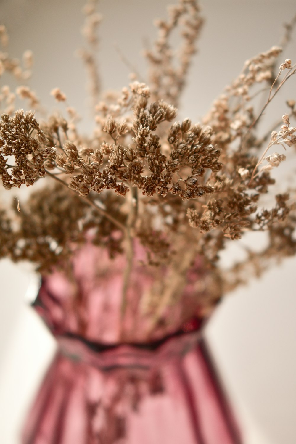 white flowers in pink vase