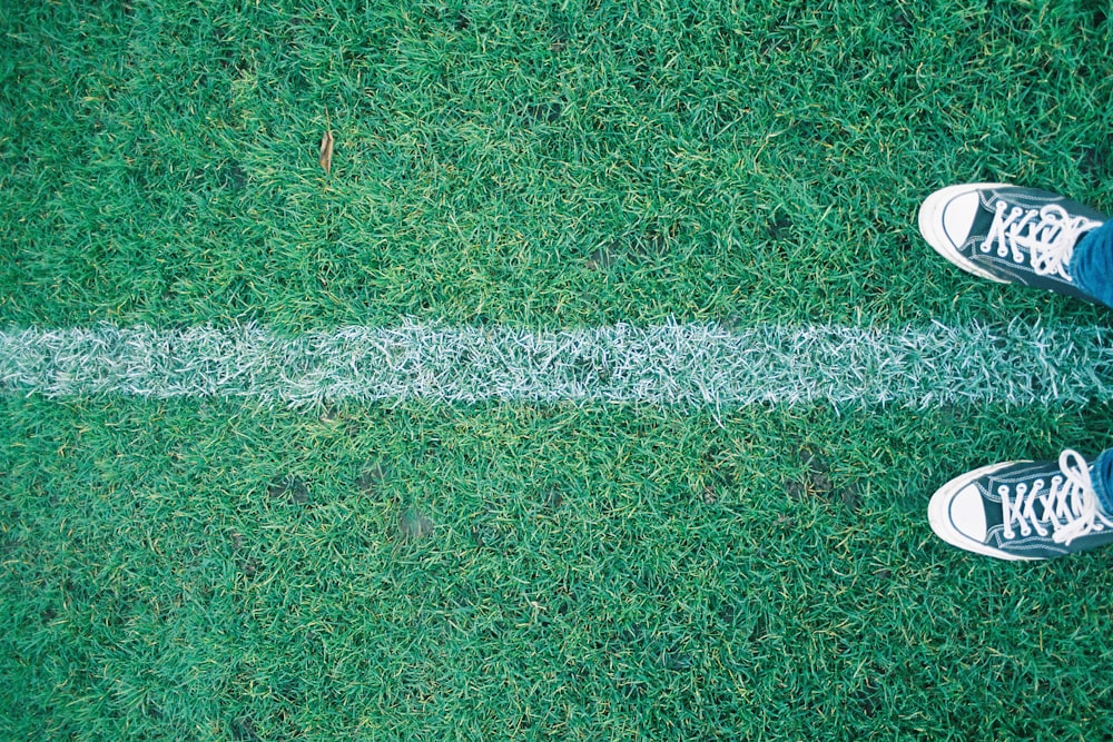 green grass field during daytime