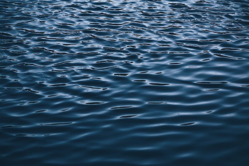 blue body of water during daytime