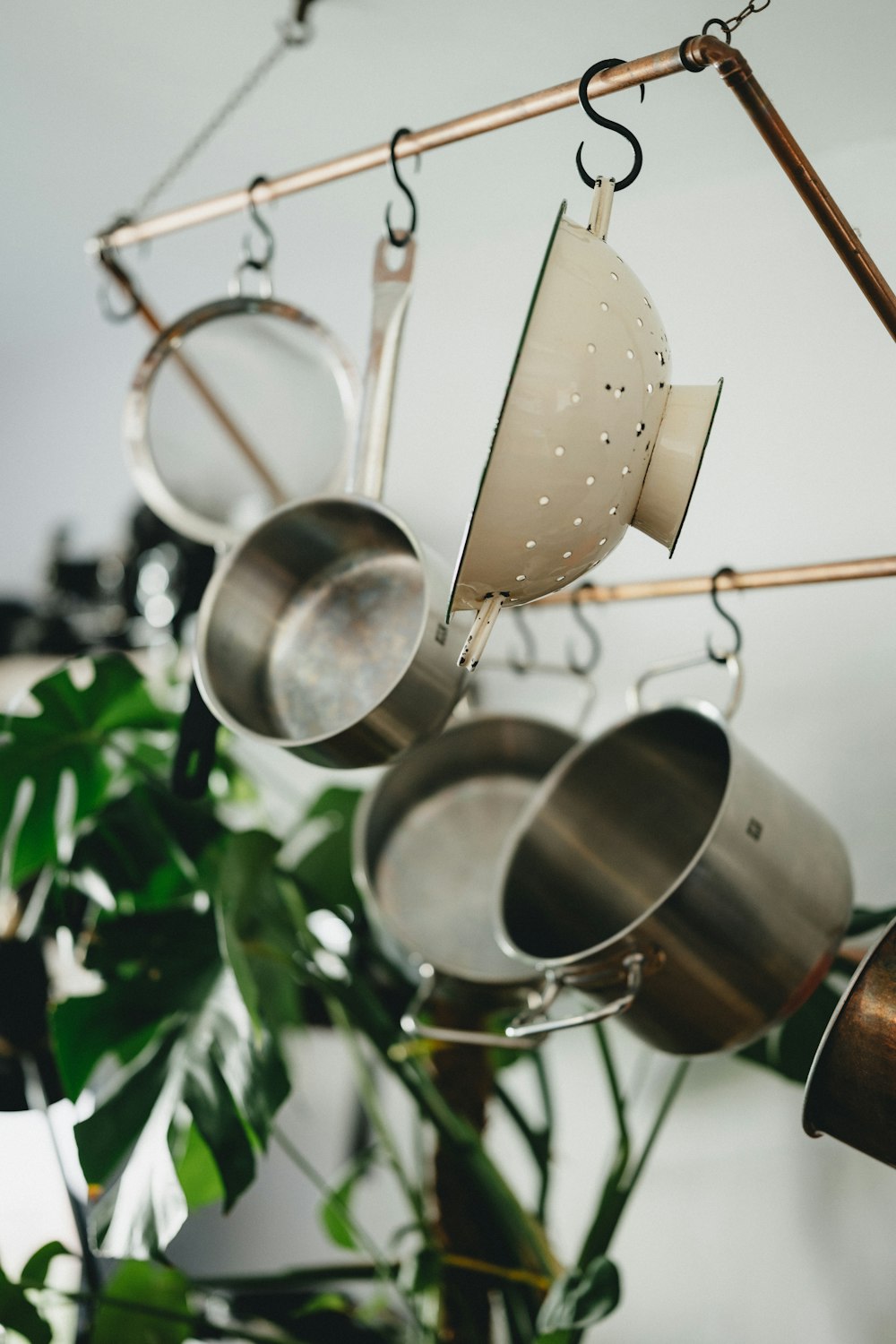 stainless steel cooking pots hanging on green plant
