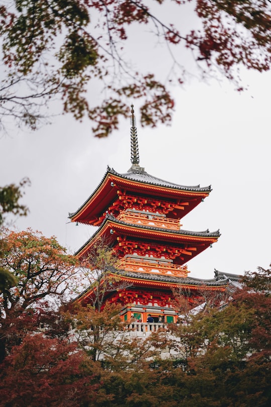 red and brown temple under white sky in Kiyomizu-dera Japan