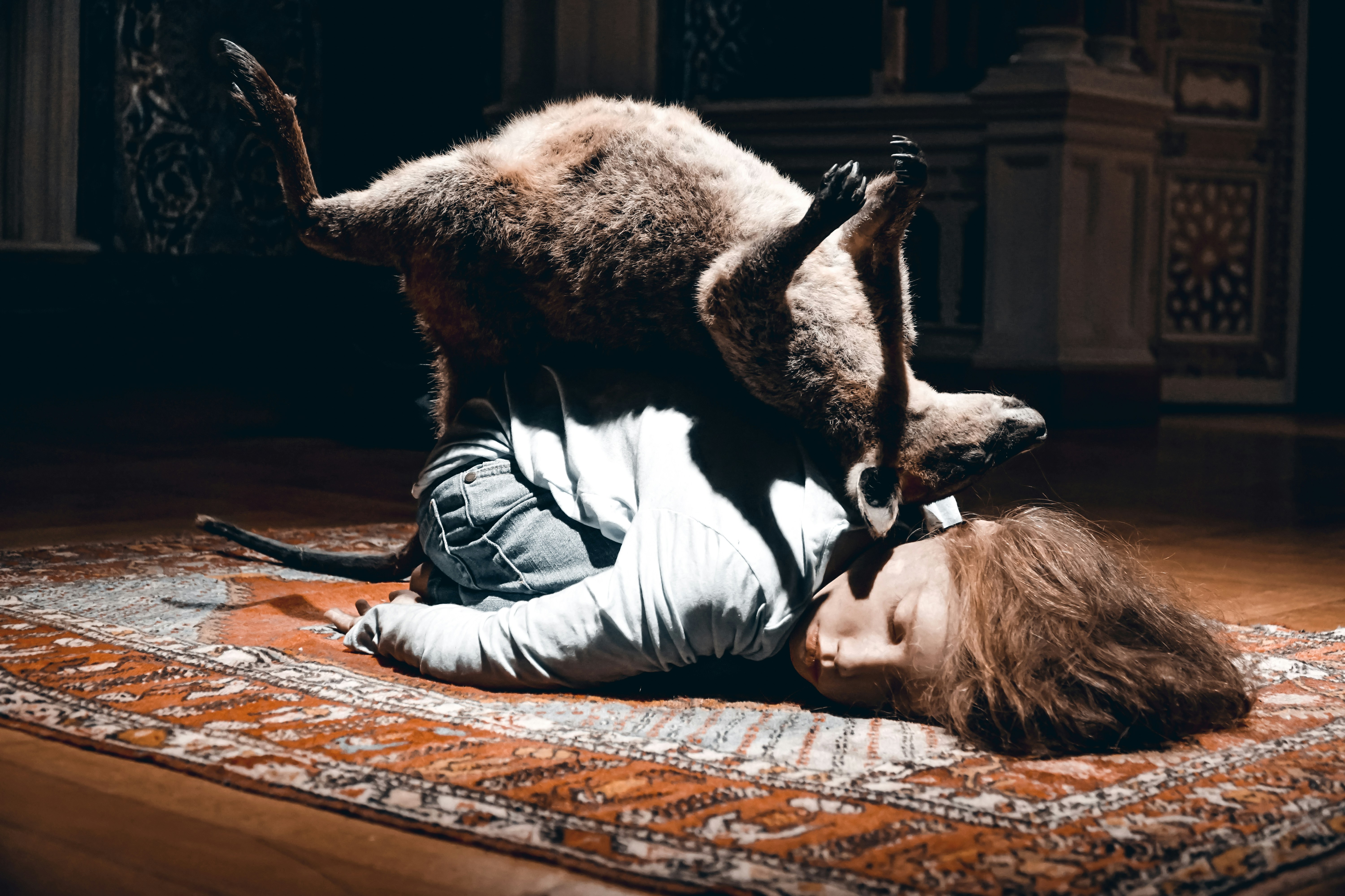 woman in gray long sleeve shirt and blue denim jeans sitting beside brown animal