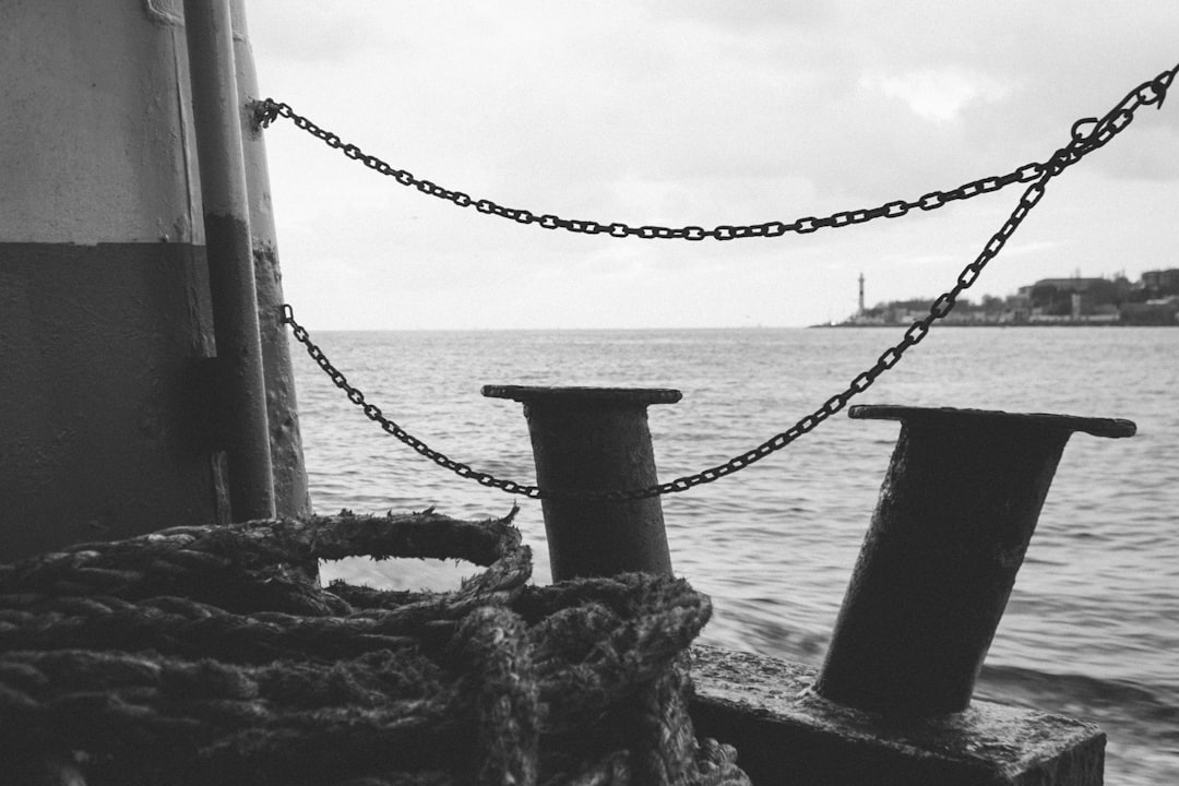 grayscale photo of rope on body of water