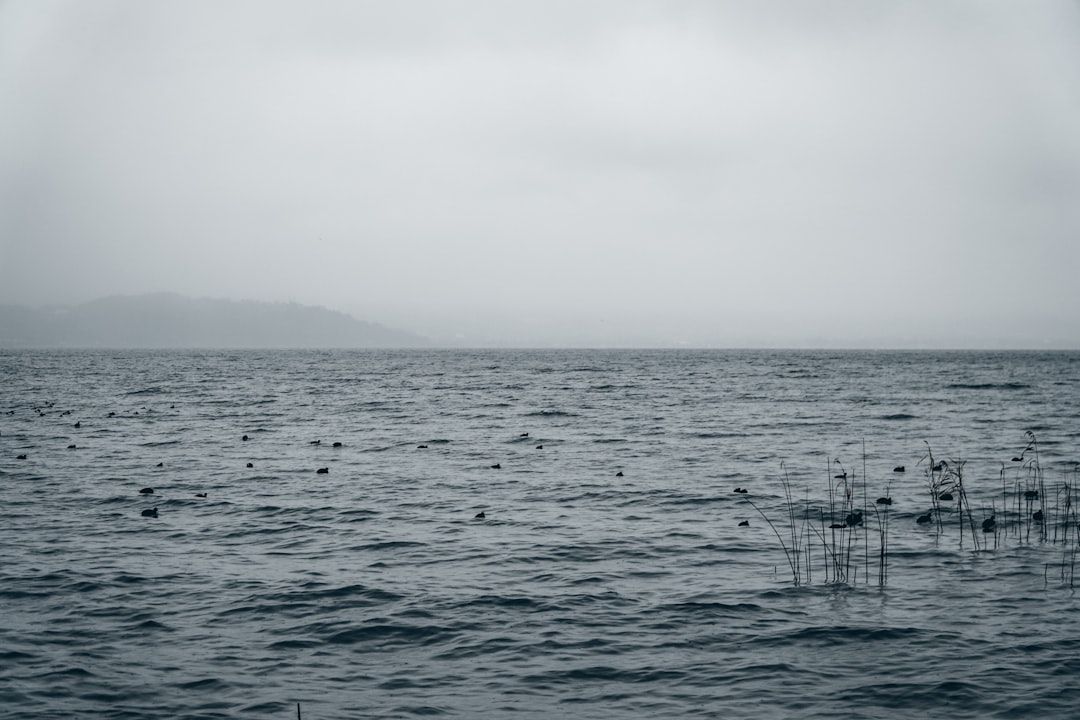 body of water under white sky during daytime