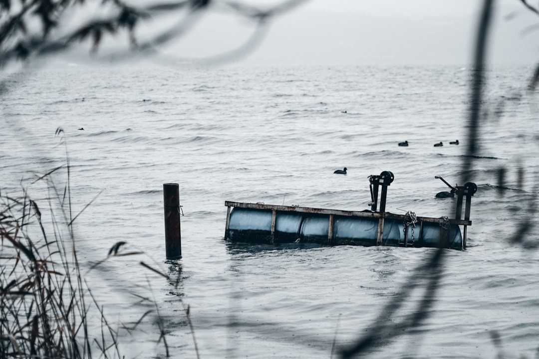 blue wooden dock on body of water during daytime