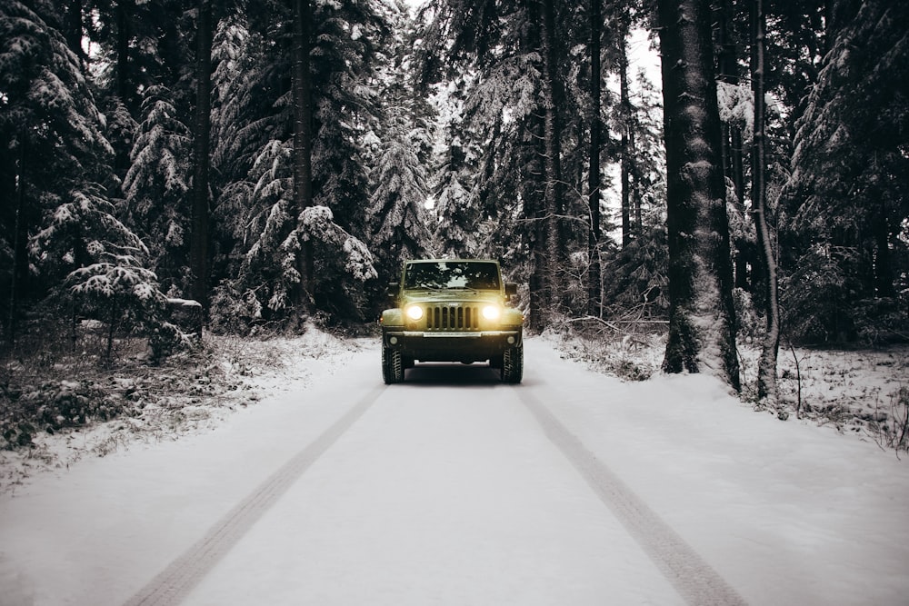 Coche amarillo en la carretera entre árboles cubiertos de nieve durante el día
