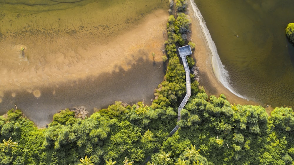 aerial view of green trees and brown sand