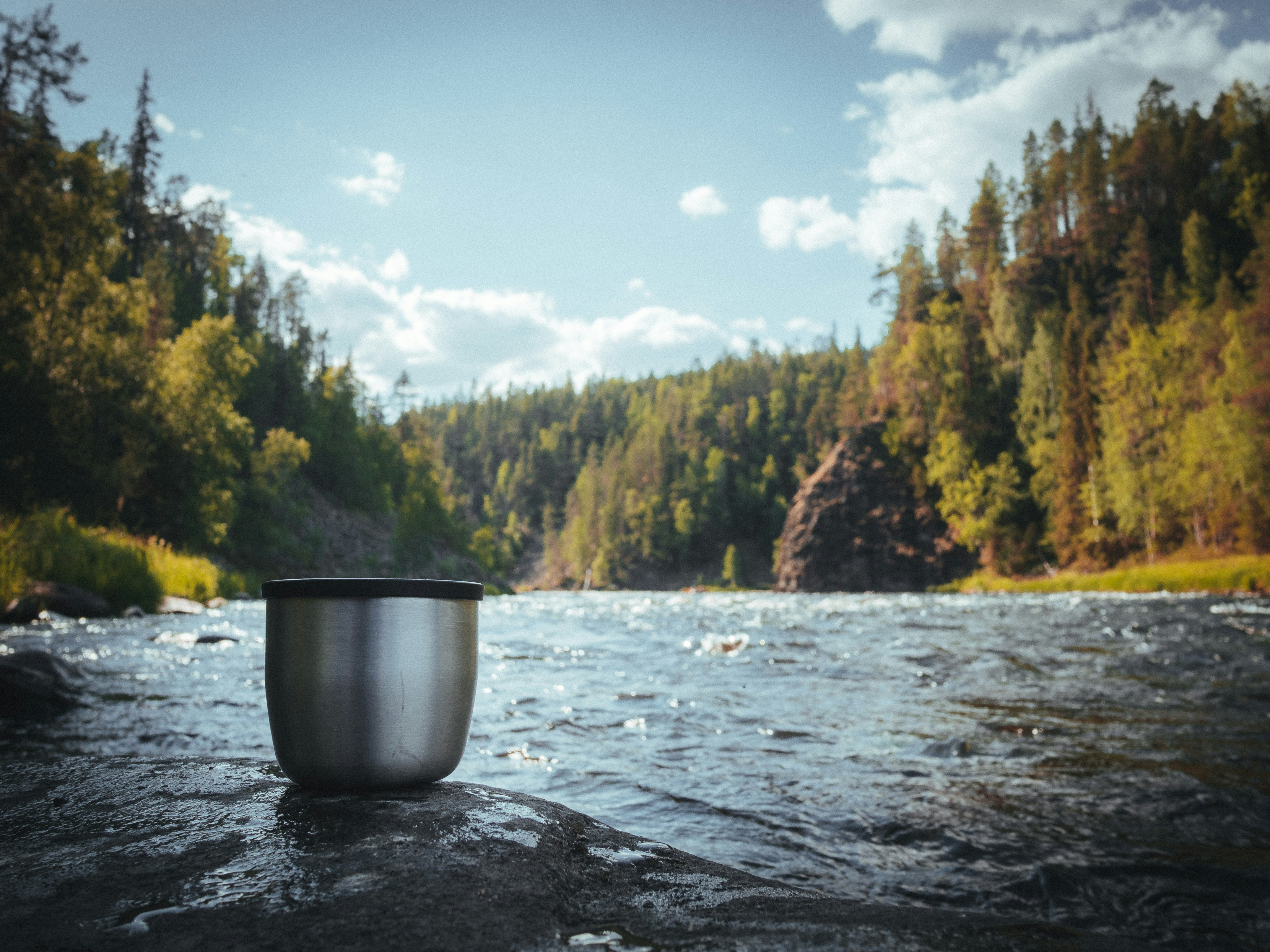 photo 1585319856033 cc3f79ed5c88?ixlib=rb 4.0