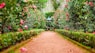 brown pathway between green plants