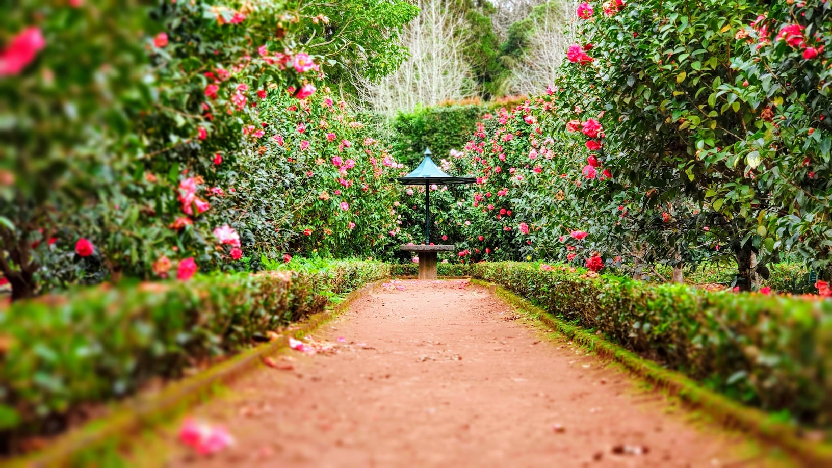 Bloom Gardens