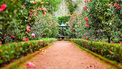 Cottage Garden Style