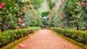 Plant care consultation