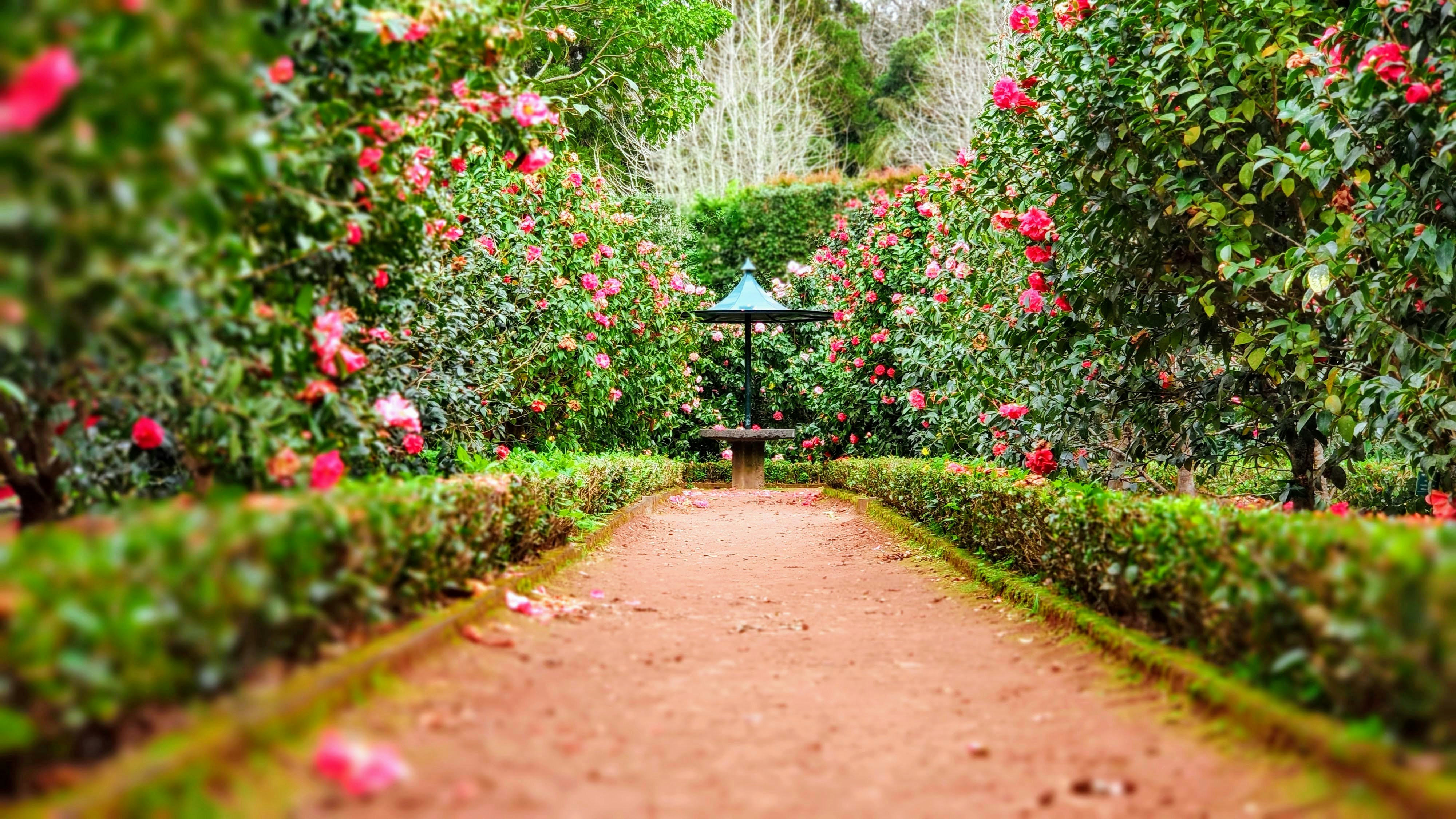 botanical