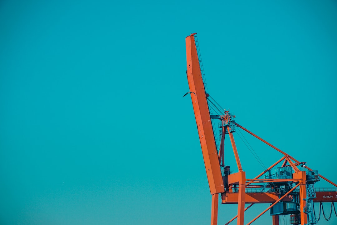 blue crane under blue sky during daytime