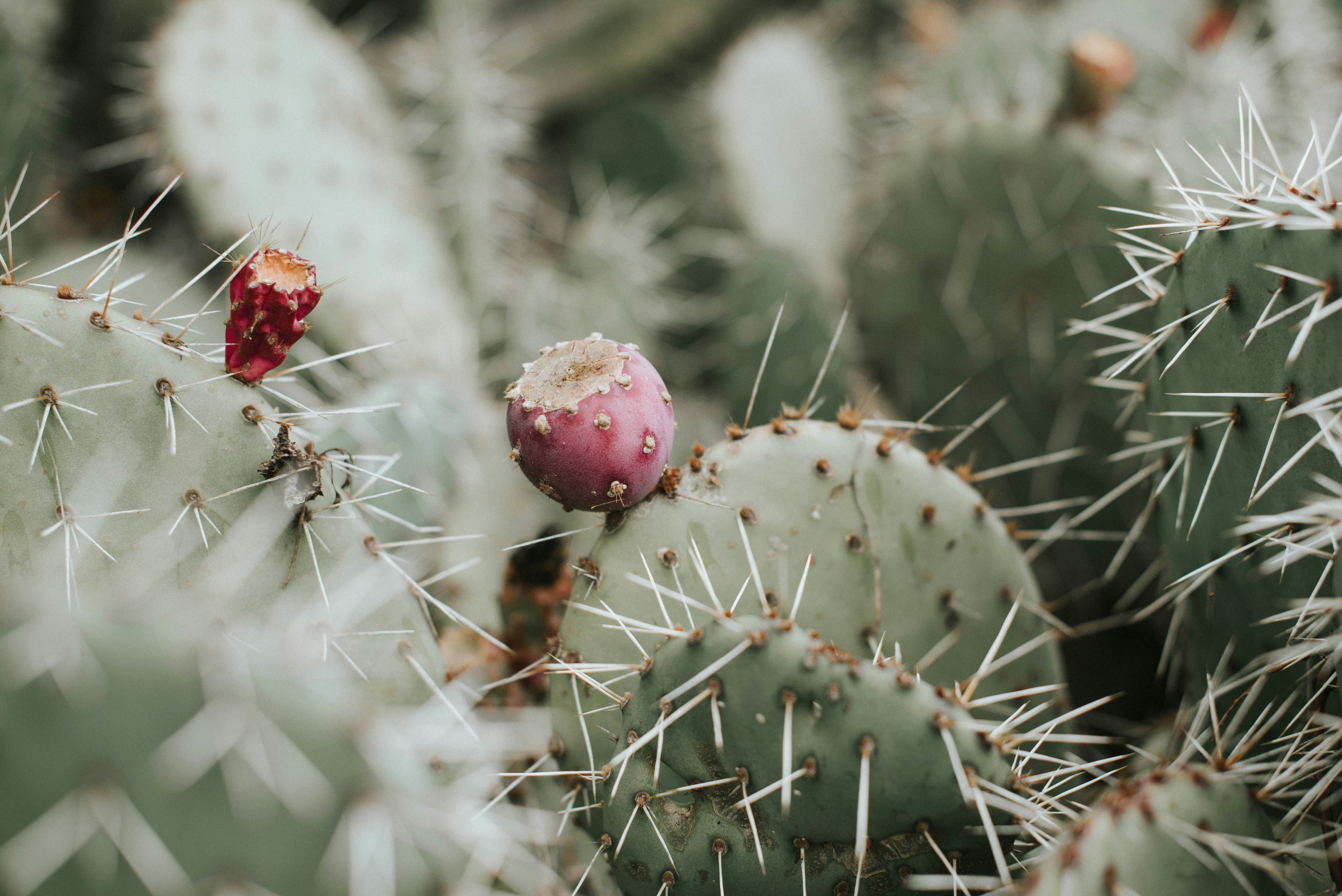 Photo by octoberroses