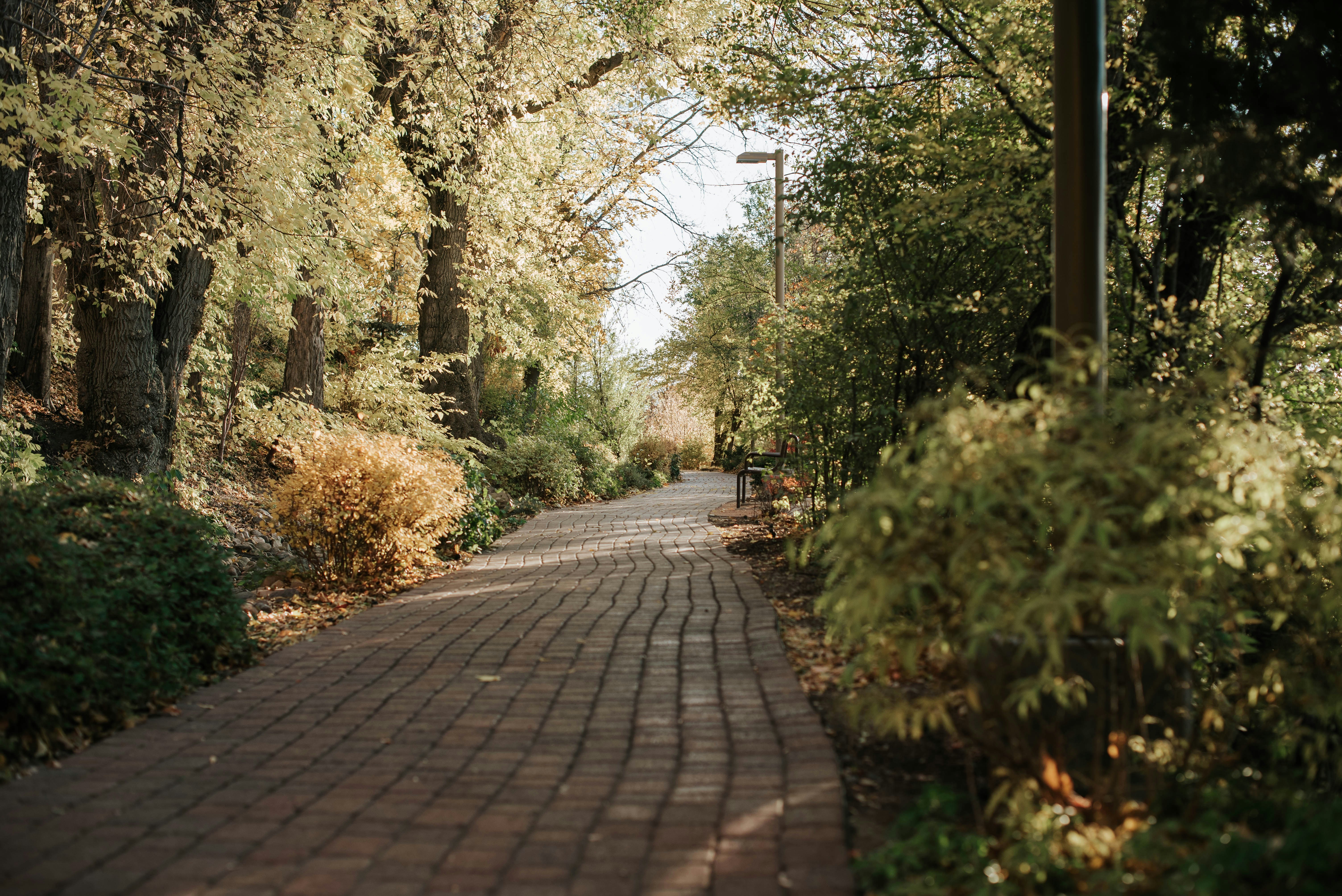 Photo by octoberroses