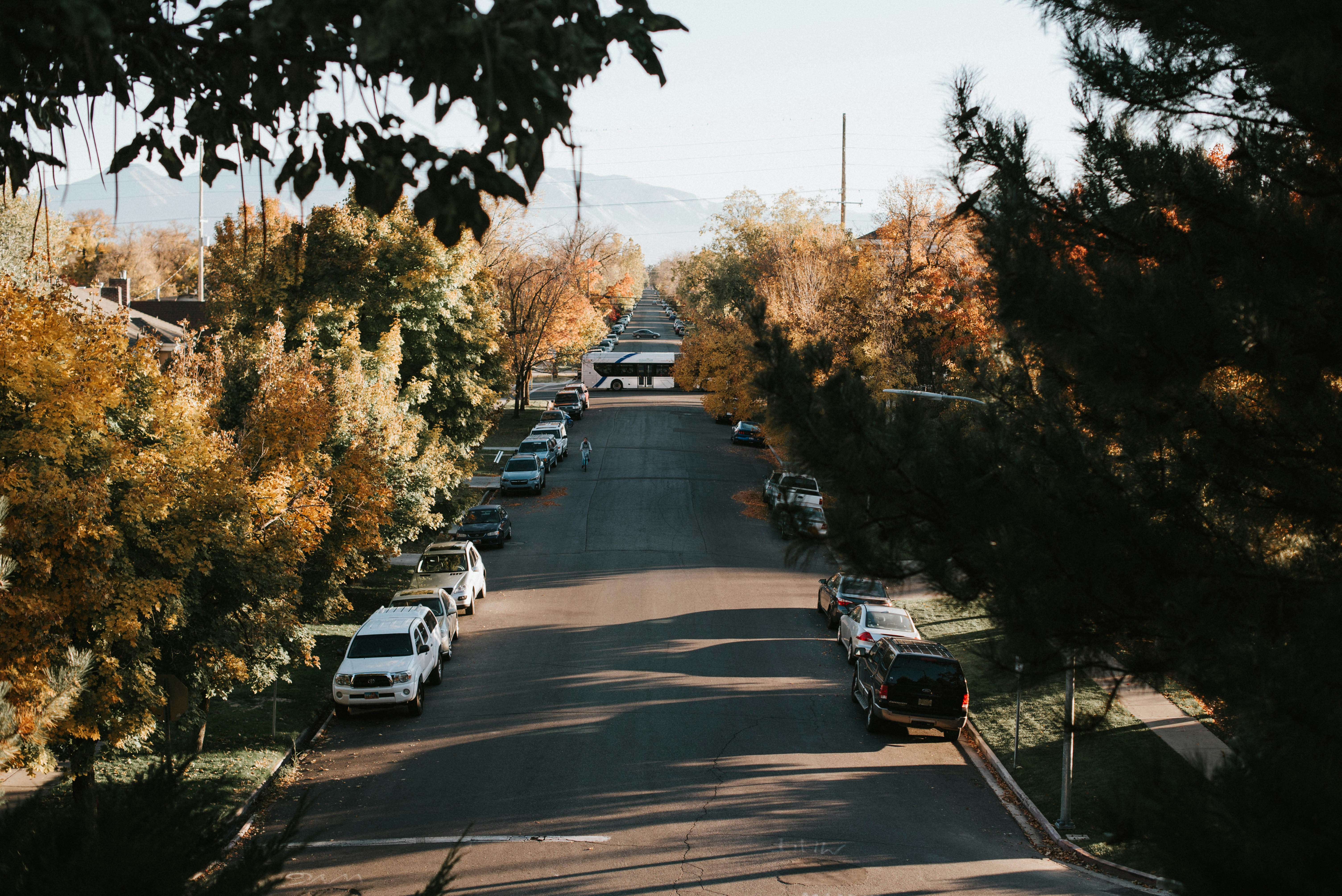 Photo by octoberroses