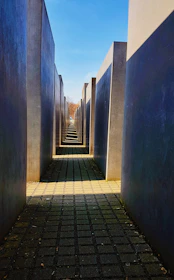 A neatly arranged pathway of solid concrete paver blocks reflecting outdoor resilience.