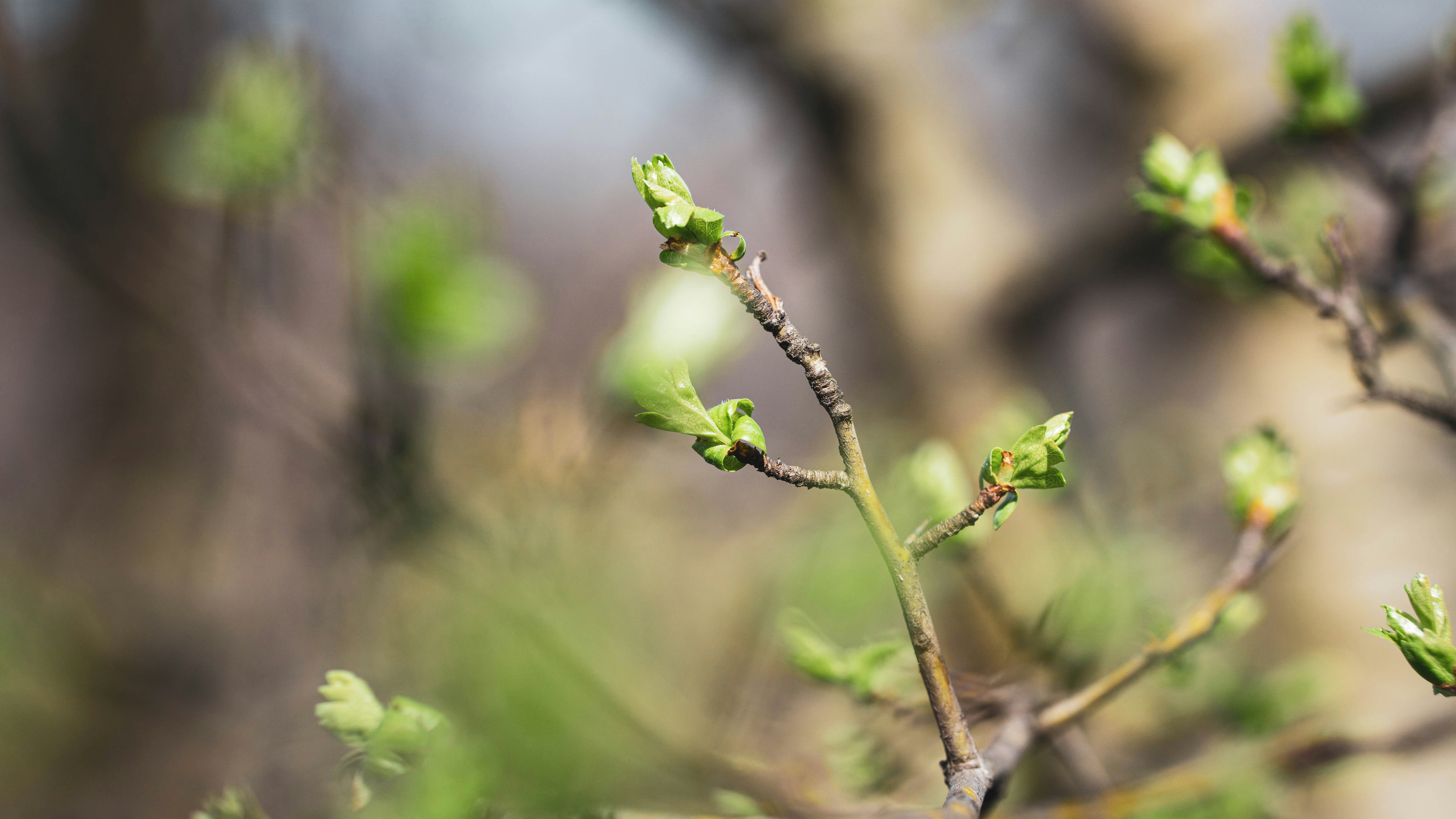 Photo by annadudkova