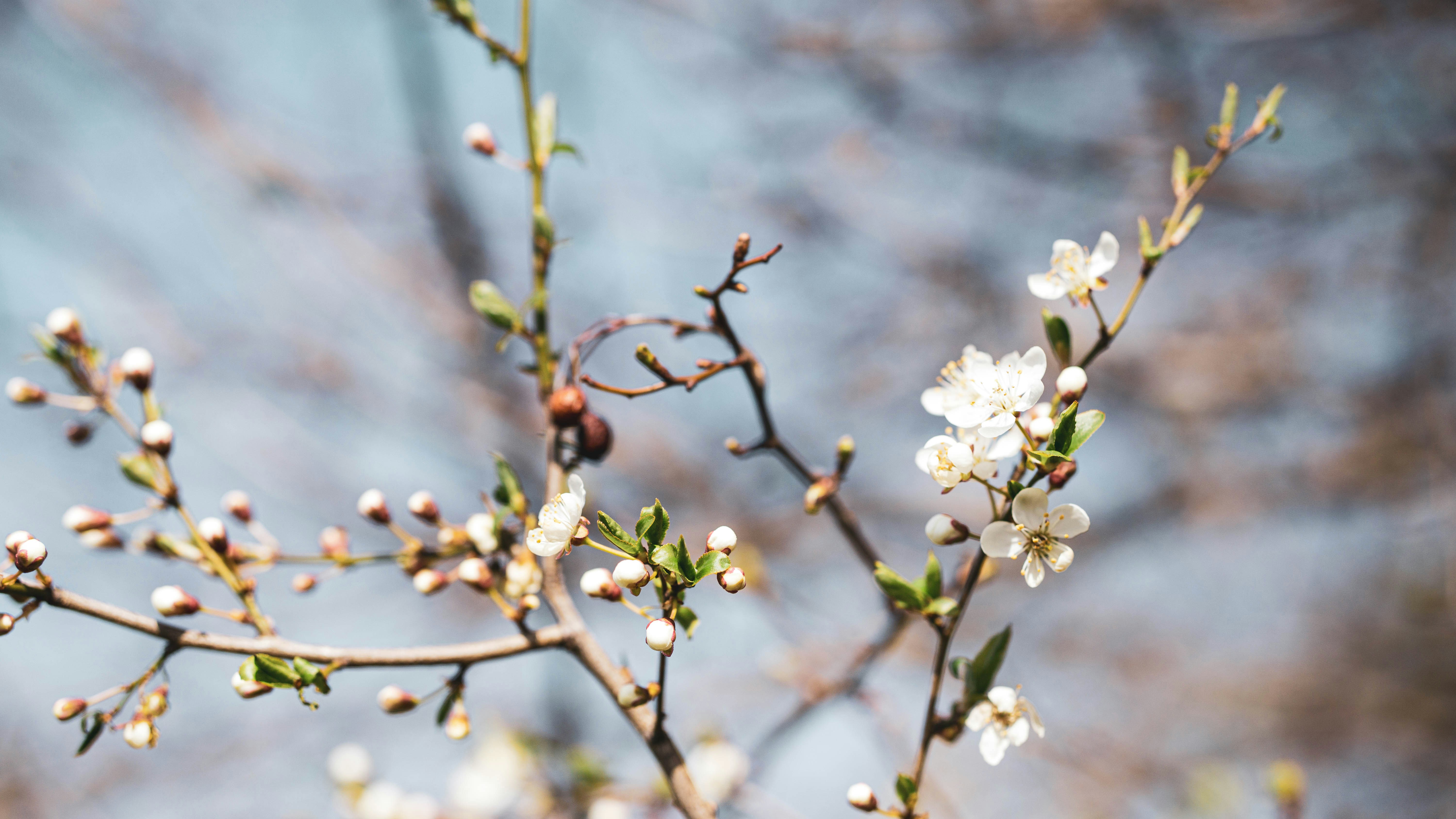 Photo by annadudkova